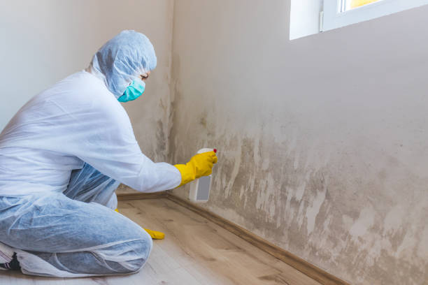 Licensed Crawl Space Mold Removal service in Woodbury, PA - WQB Mold Removal