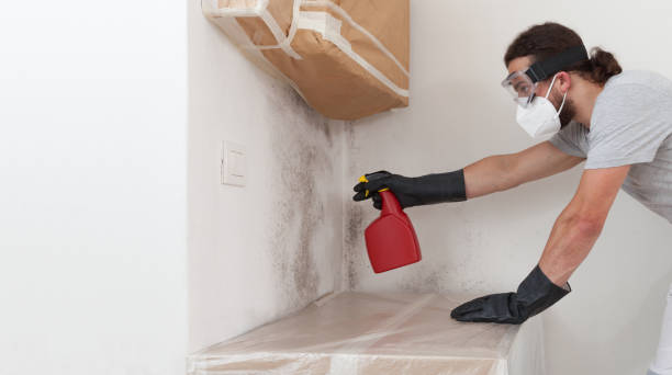 Professional Crawl Space Mold Removal technician working in Woodbury, PA