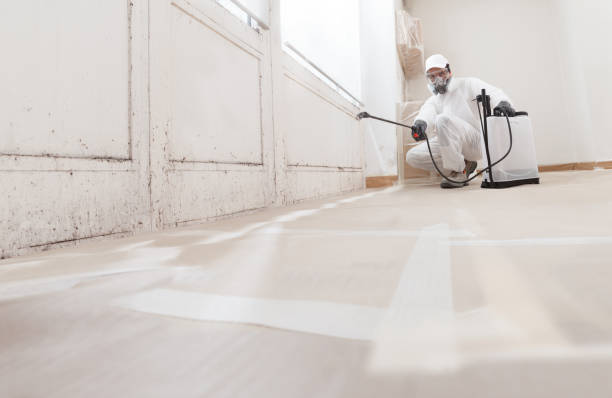 24/7 Emergency Crawl Space Mold Removal experts in Woodbury, PA