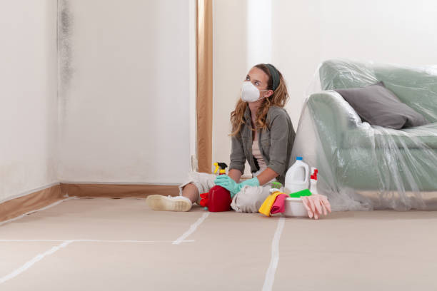 Reliable Crawl Space Mold Removal contractor in Woodbury, PA by WQB Mold Removal